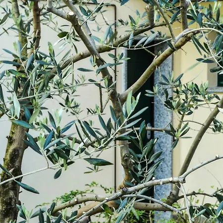Italianway - Dall'alto *